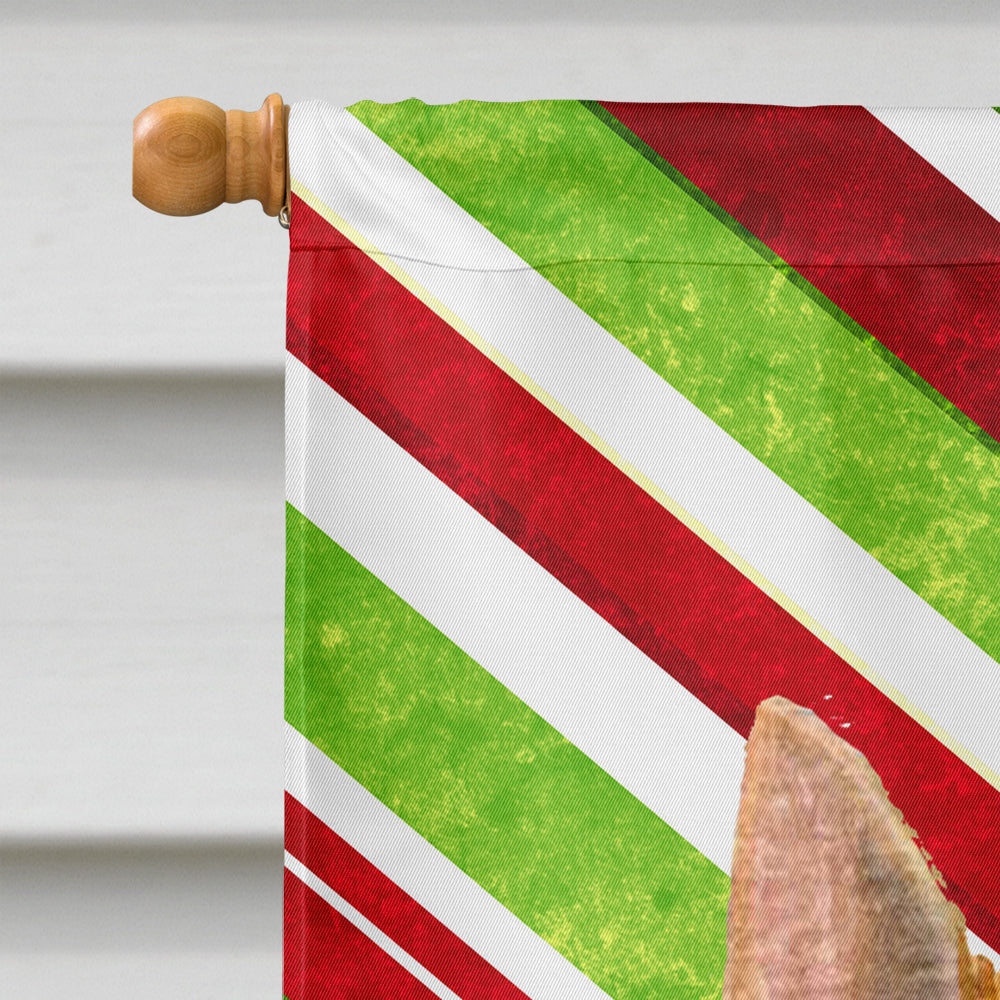 Norwich Terrier Candy Cane Holiday Christmas House Flag 28x40 Porch Sleeve Pole Decorative Outside Yard Banner Artwork Wall Hanging, Polyester