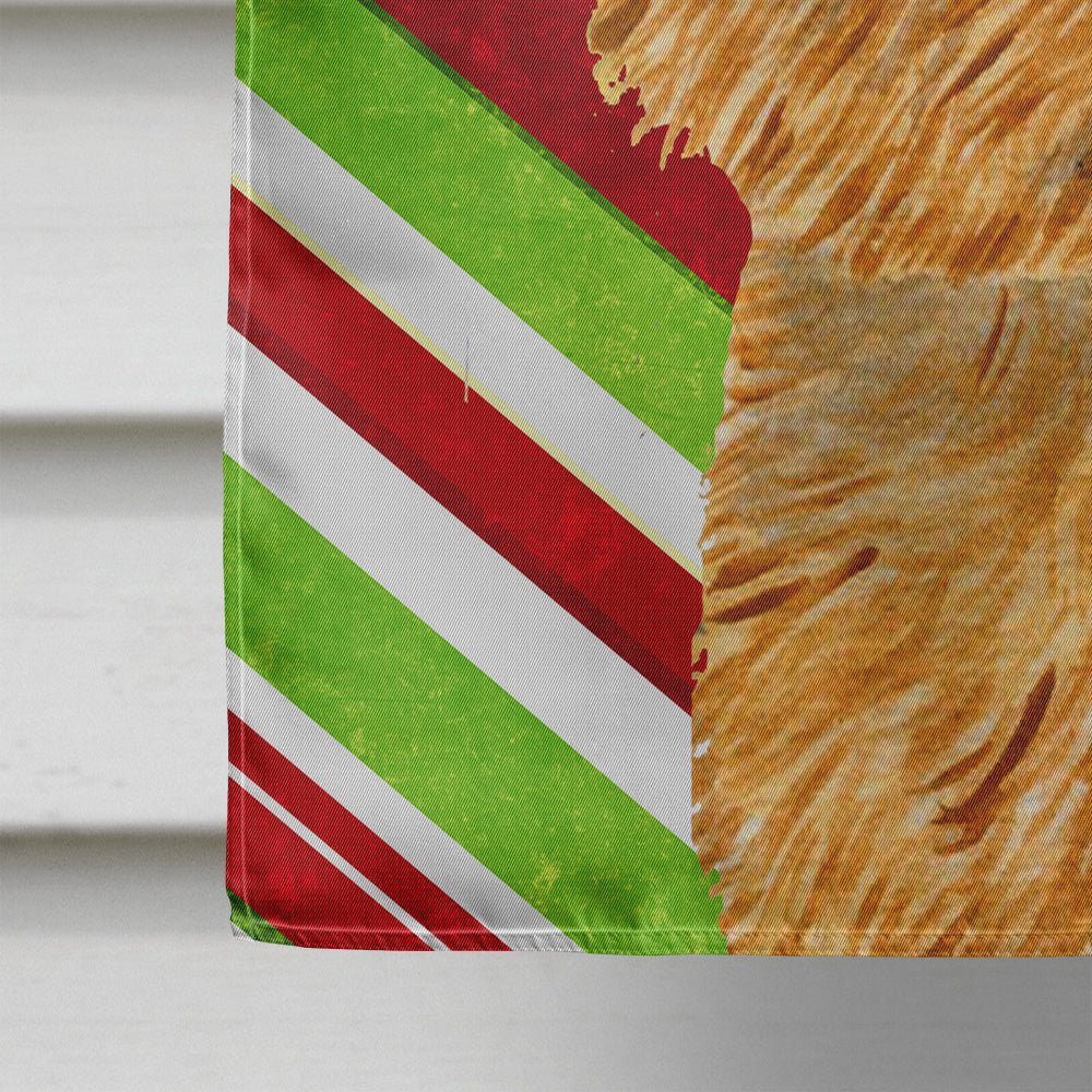 Norwich Terrier Candy Cane Holiday Christmas House Flag 28x40 Porch Sleeve Pole Decorative Outside Yard Banner Artwork Wall Hanging, Polyester