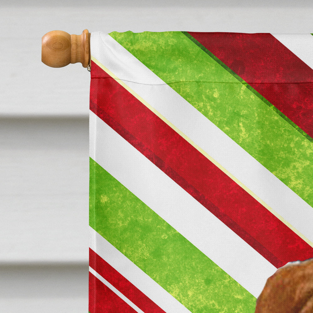 Sussex Spaniel Candy Cane Holiday Christmas House Flag 28x40 Porch Sleeve Pole Decorative Outside Yard Banner Artwork Wall Hanging, Polyester