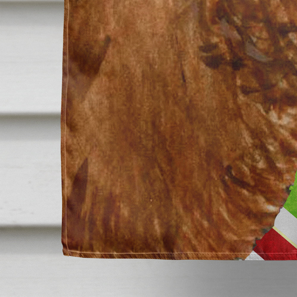 Sussex Spaniel Candy Cane Holiday Christmas House Flag 28x40 Porch Sleeve Pole Decorative Outside Yard Banner Artwork Wall Hanging, Polyester