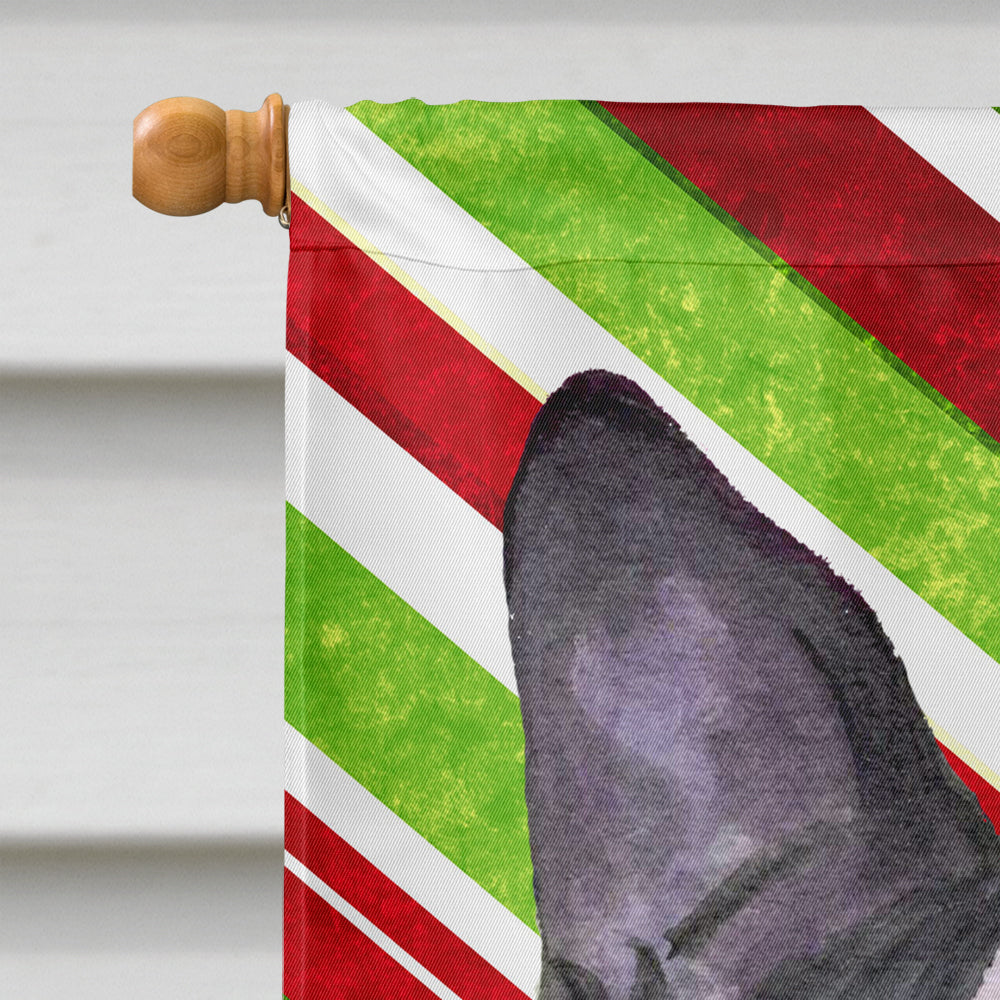 Boston Terrier Candy Cane Holiday Christmas House Flag 28x40 Porch Sleeve Pole Decorative Outside Yard Banner Artwork Wall Hanging, Polyester