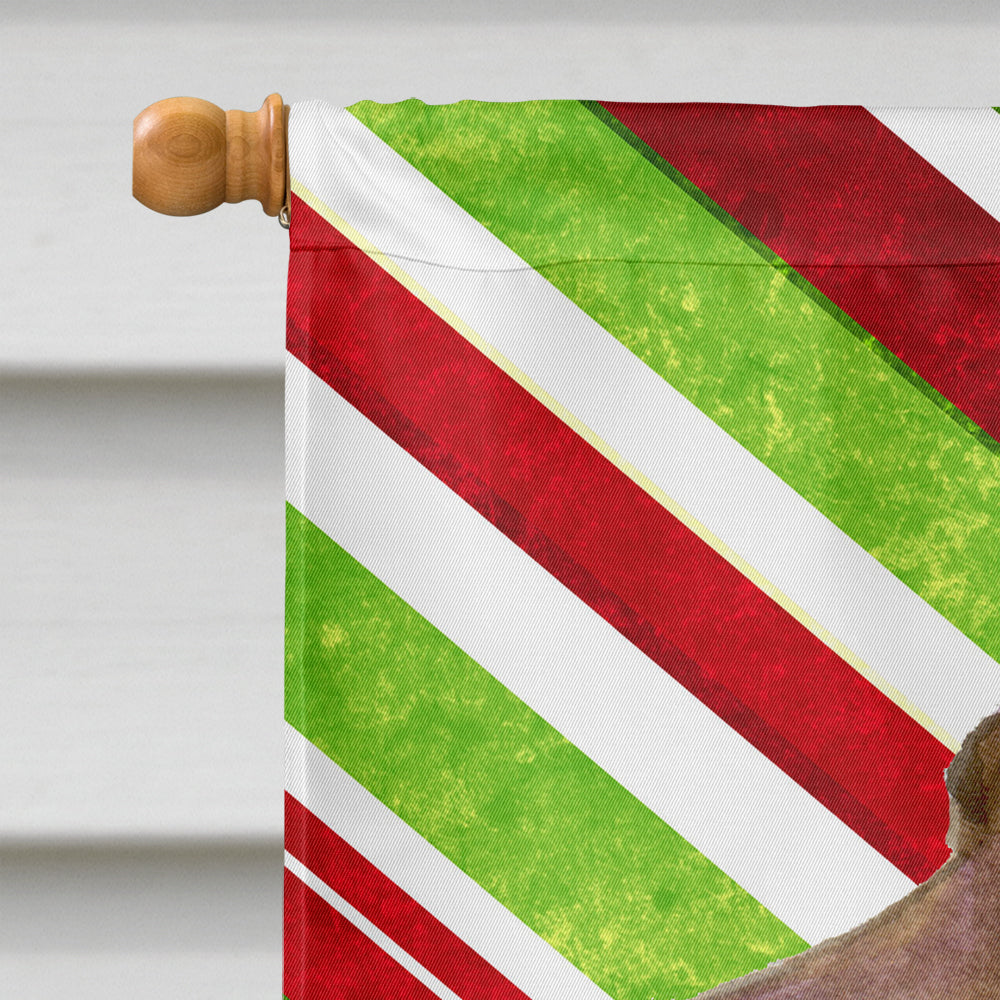 Field Spaniel Candy Cane Holiday Christmas House Flag 28x40 Porch Sleeve Pole Decorative Outside Yard Banner Artwork Wall Hanging, Polyester