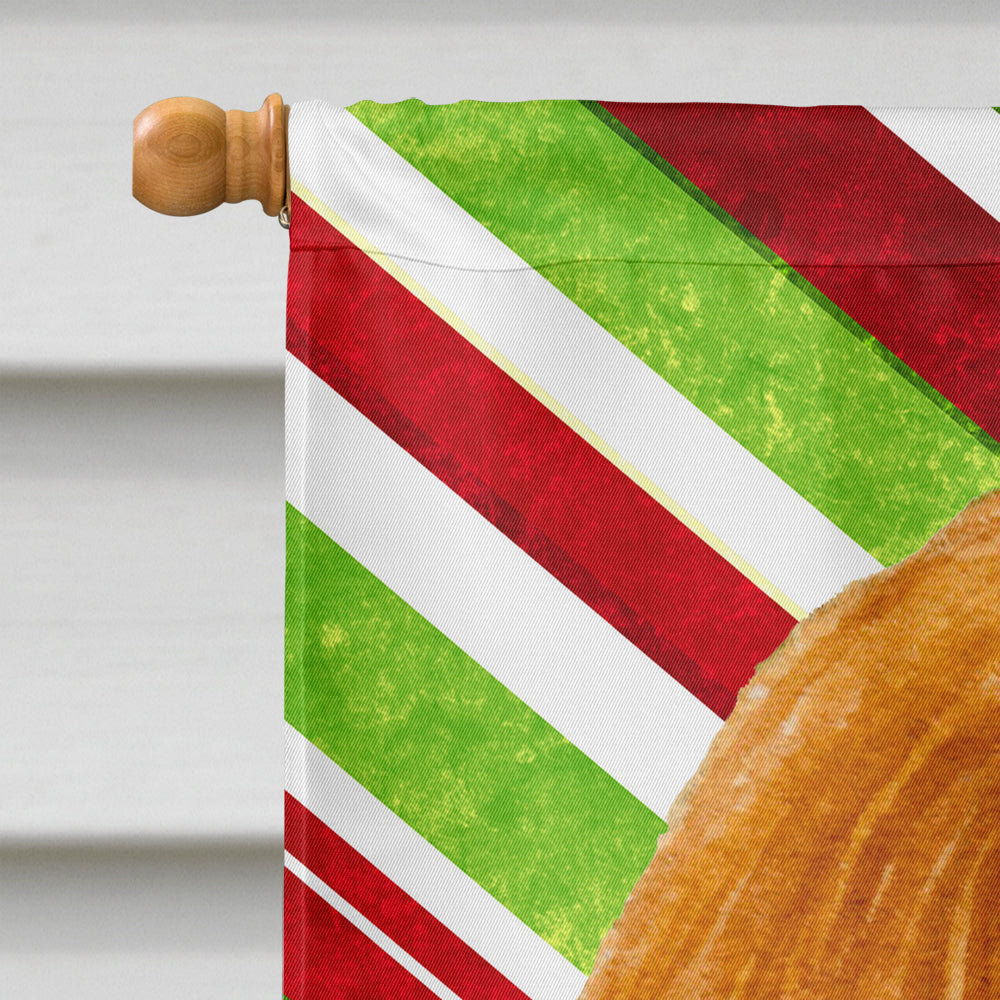 Cavalier Spaniel Candy Cane Holiday Christmas House Flag 28x40 Porch Sleeve Pole Decorative Outside Yard Banner Artwork Wall Hanging, Polyester