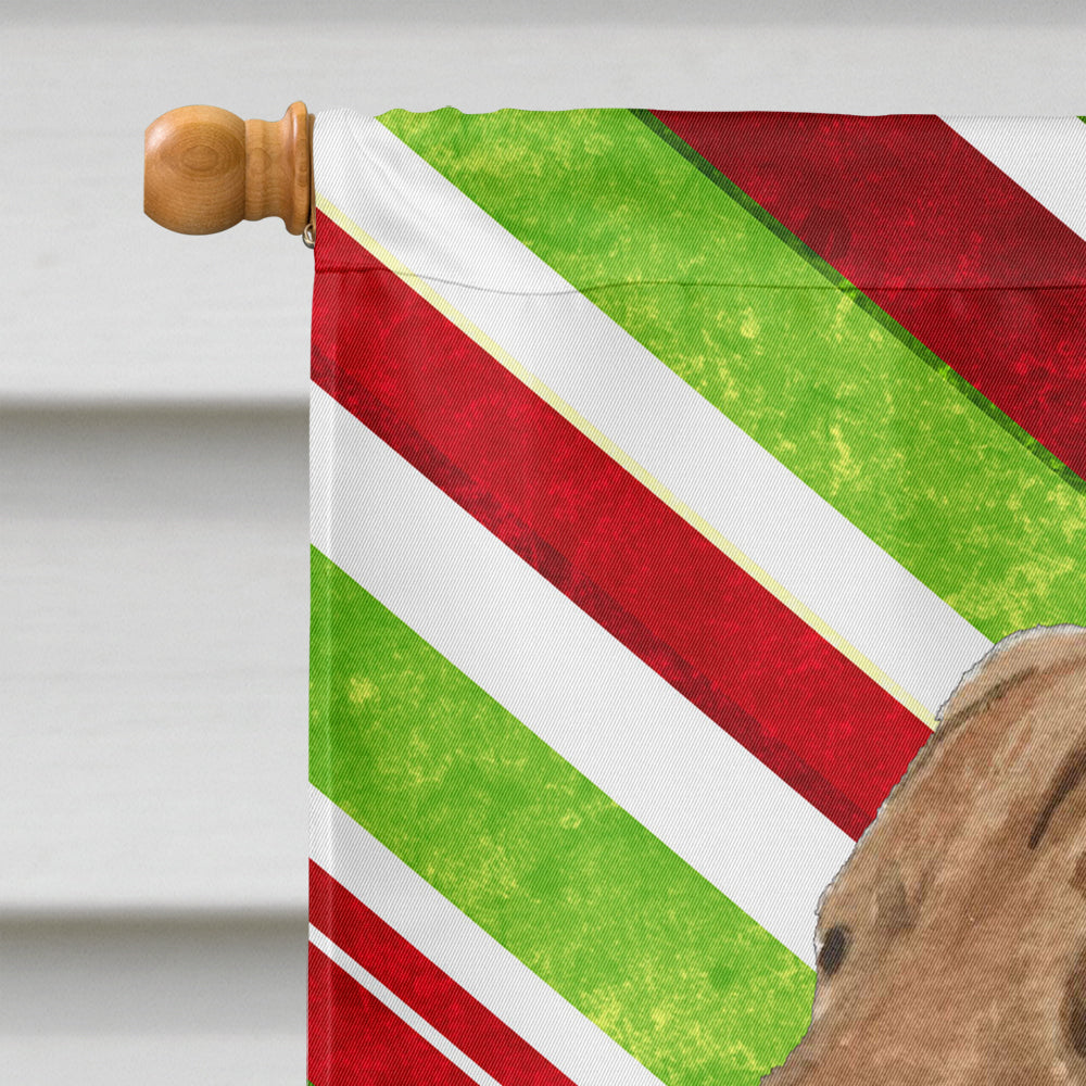 Chesapeake Bay Retriever Candy Cane Holiday Christmas House Flag 28x40 Porch Sleeve Pole Decorative Outside Yard Banner Artwork Wall Hanging, Polyester