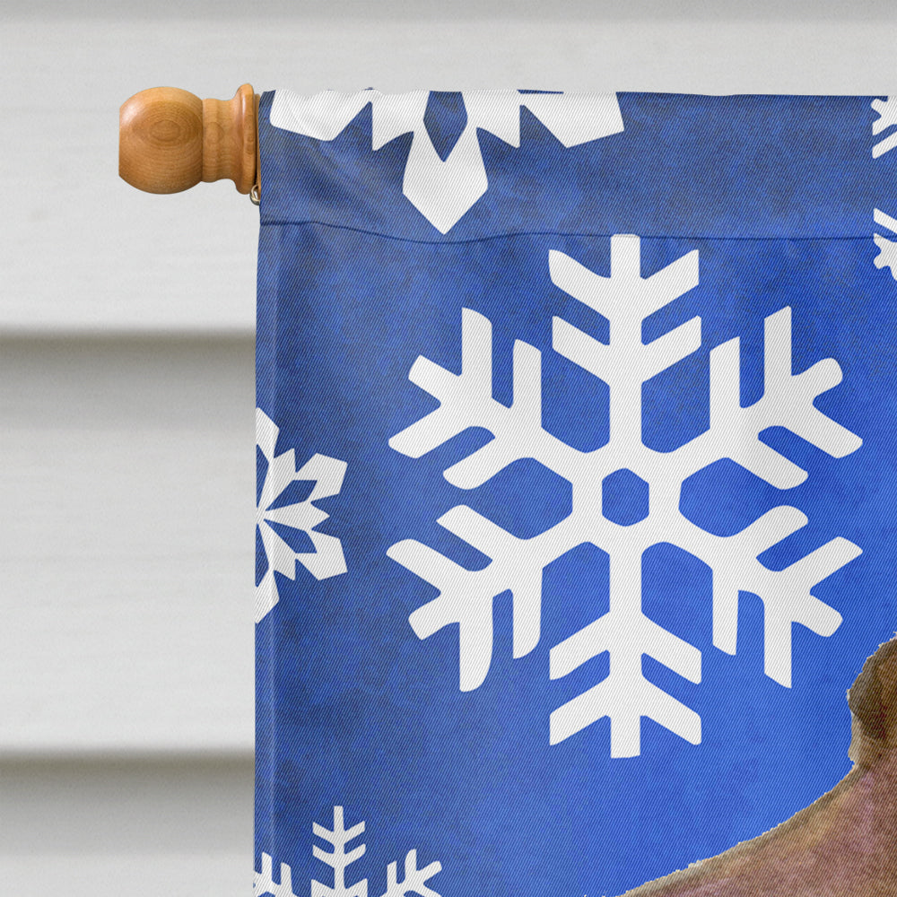 Field Spaniel Winter Snowflakes Holiday House Flag 28x40 Porch Sleeve Pole Decorative Outside Yard Banner Artwork Wall Hanging, Polyester