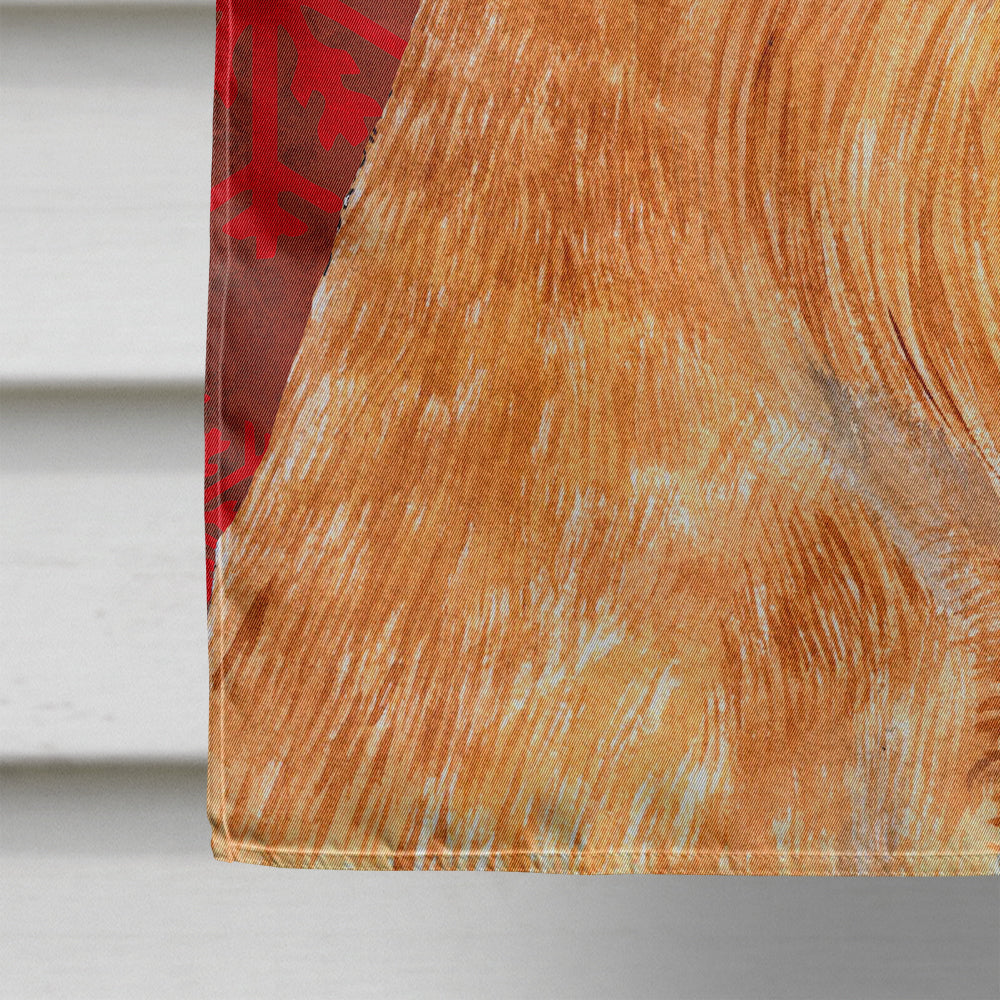 Brussels Griffon Red and Green Snowflakes Holiday Christmas House Flag 28x40 Porch Sleeve Pole Decorative Outside Yard Banner Artwork Wall Hanging, Polyester