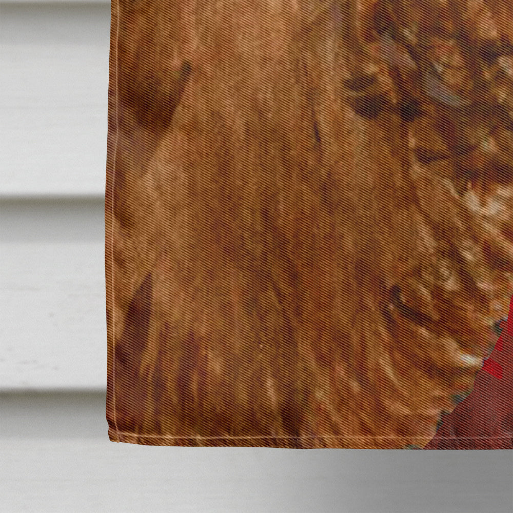 Sussex Spaniel Red Green Snowflake Holiday Christmas House Flag 28x40 Porch Sleeve Pole Decorative Outside Yard Banner Artwork Wall Hanging, Polyester