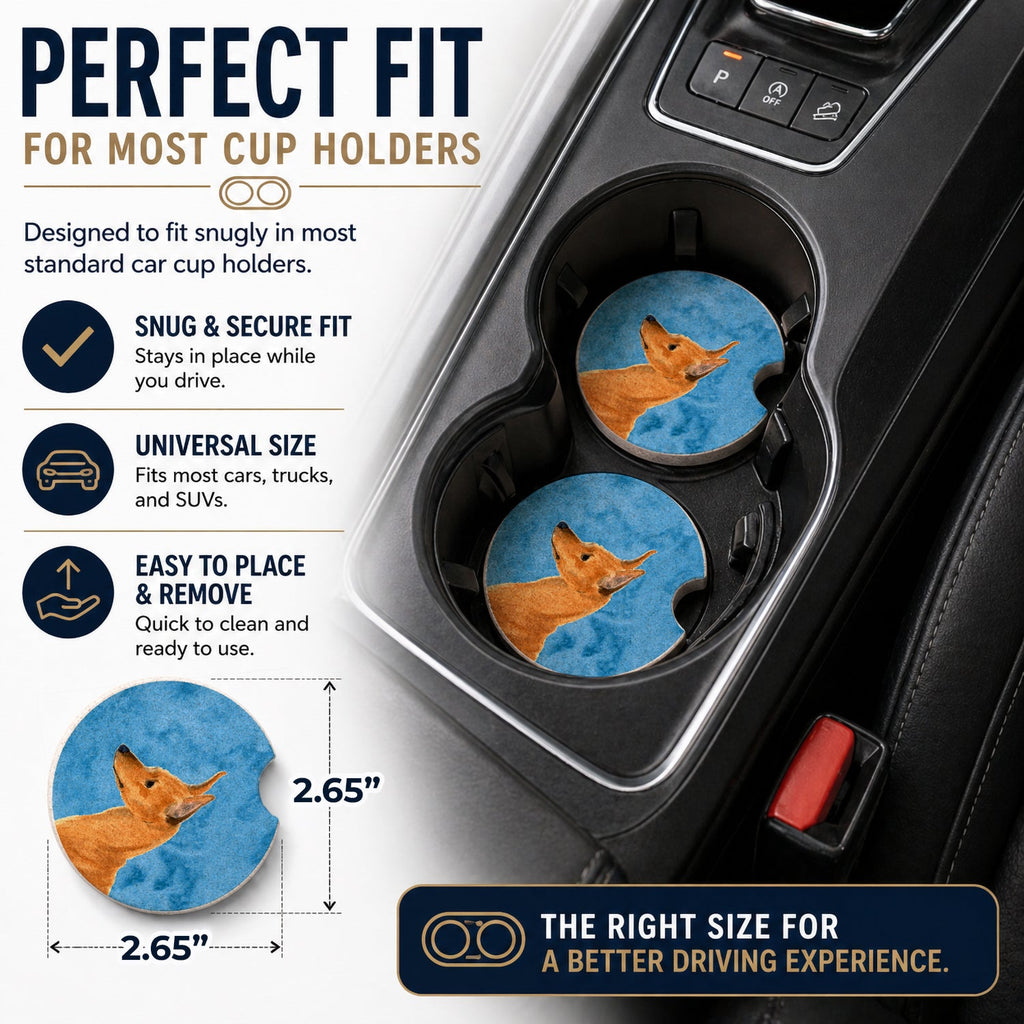 Blue Min Pin Set of 2 Cup Holder Car Coasters Absorbent Round Sandstone Coasters Gifts for Men or Women, 2.5, Multicolor