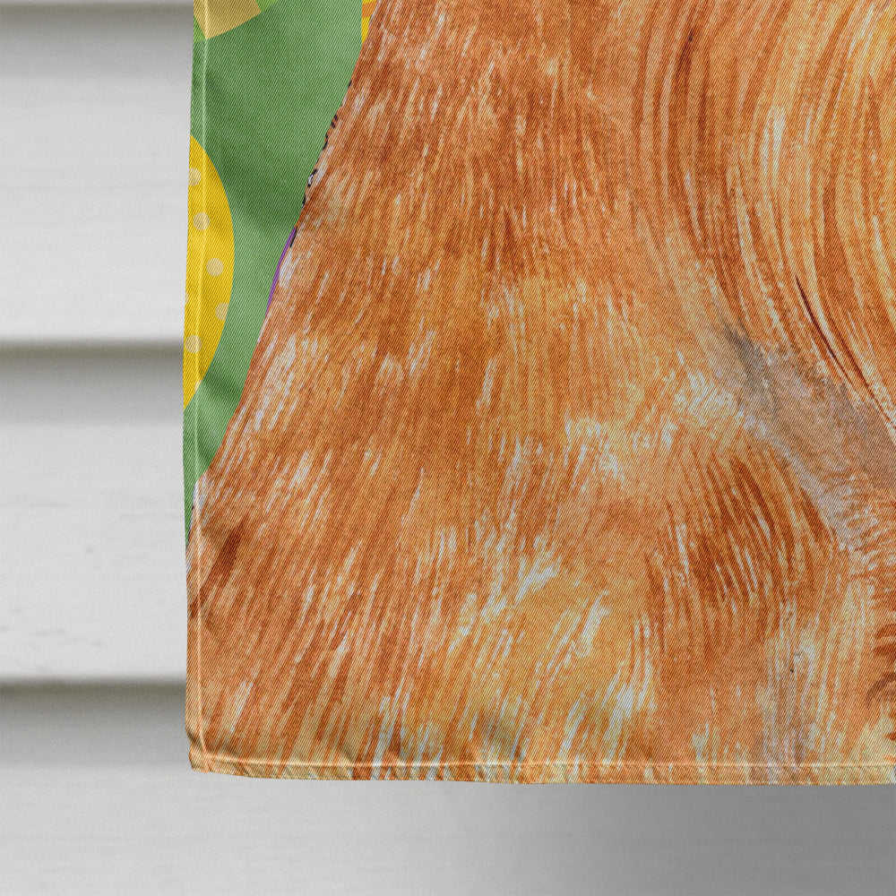 Brussels Griffon Easter Eggtravaganza House Flag 28x40 Porch Sleeve Pole Decorative Outside Yard Banner Artwork Wall Hanging, Polyester
