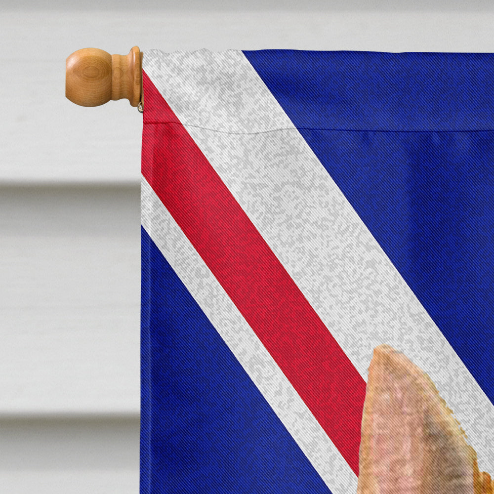 Norwich Terrier with English Union Jack British Flag House Flag 28x40 Porch Sleeve Pole Decorative Outside Yard Banner Artwork Wall Hanging, Polyester
