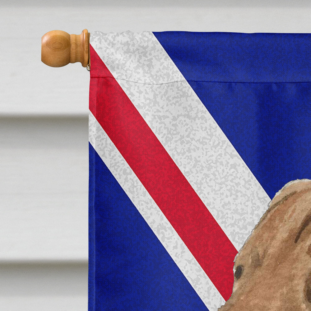 Curly Coated Retriever with English Union Jack British Flag House Flag 28x40 Porch Sleeve Pole Decorative Outside Yard Banner Artwork Wall Hanging, Polyester