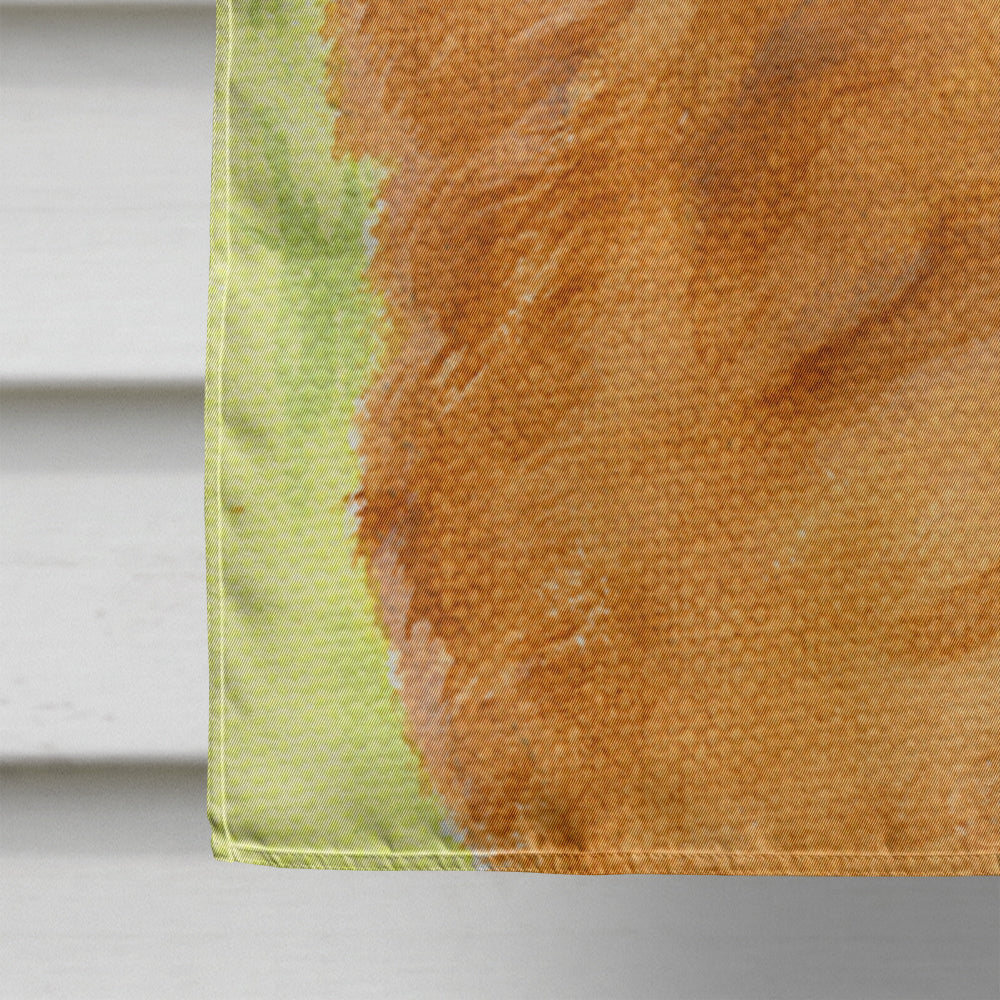 Chow Chow House Flag 28x40 Porch Sleeve Pole Decorative Outside Yard Banner Artwork Wall Hanging, Polyester