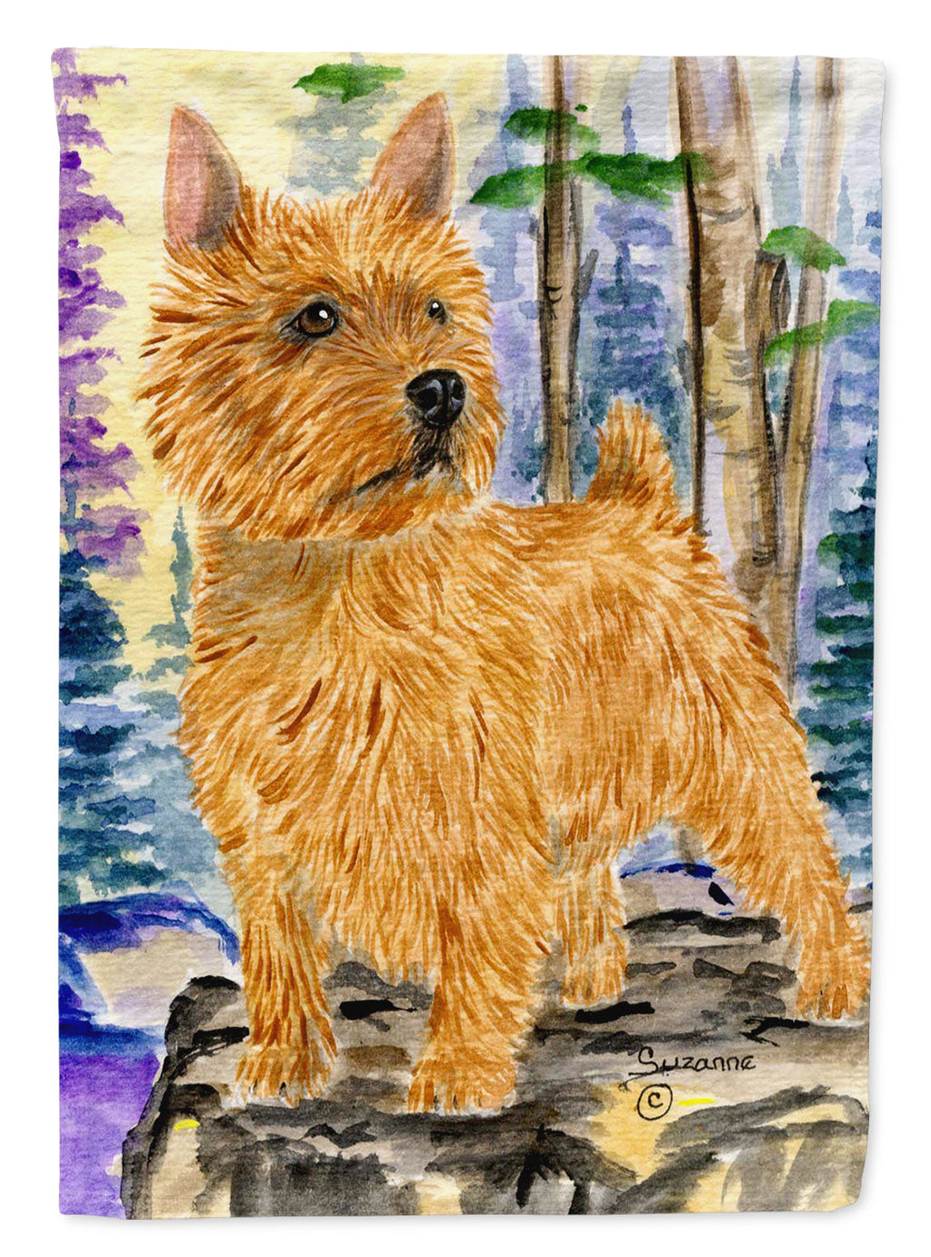 Norwich Terrier House Flag 28x40 Porch Sleeve Pole Decorative Outside Yard Banner Artwork Wall Hanging, Polyester