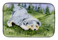 Australian Shepherd Dish Drying Mat Absorbent Dish Drying Mat Pad for Kitchen Counter Dish Drainer Mat for Countertop, 14 x 21", Multicolor