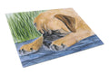 Bullmastiff Cutting Board Tempered Glass Kitchen Cutting Surface, Heat Resistant Chopping, Non-Slip Feet, Food Prep & Serving