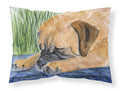 Bullmastiff Standard Pillowcase Lightweight Super Soft Easy Care Decorative Artwork Pillowcase, Standard