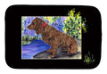 Boykin Spaniel Dish Drying Mat Absorbent Dish Drying Mat Pad for Kitchen Counter Dish Drainer Mat for Countertop, 14 x 21", Multicolor