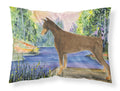 Doberman Standard Pillowcase Lightweight Super Soft Easy Care Decorative Artwork Pillowcase, Standard