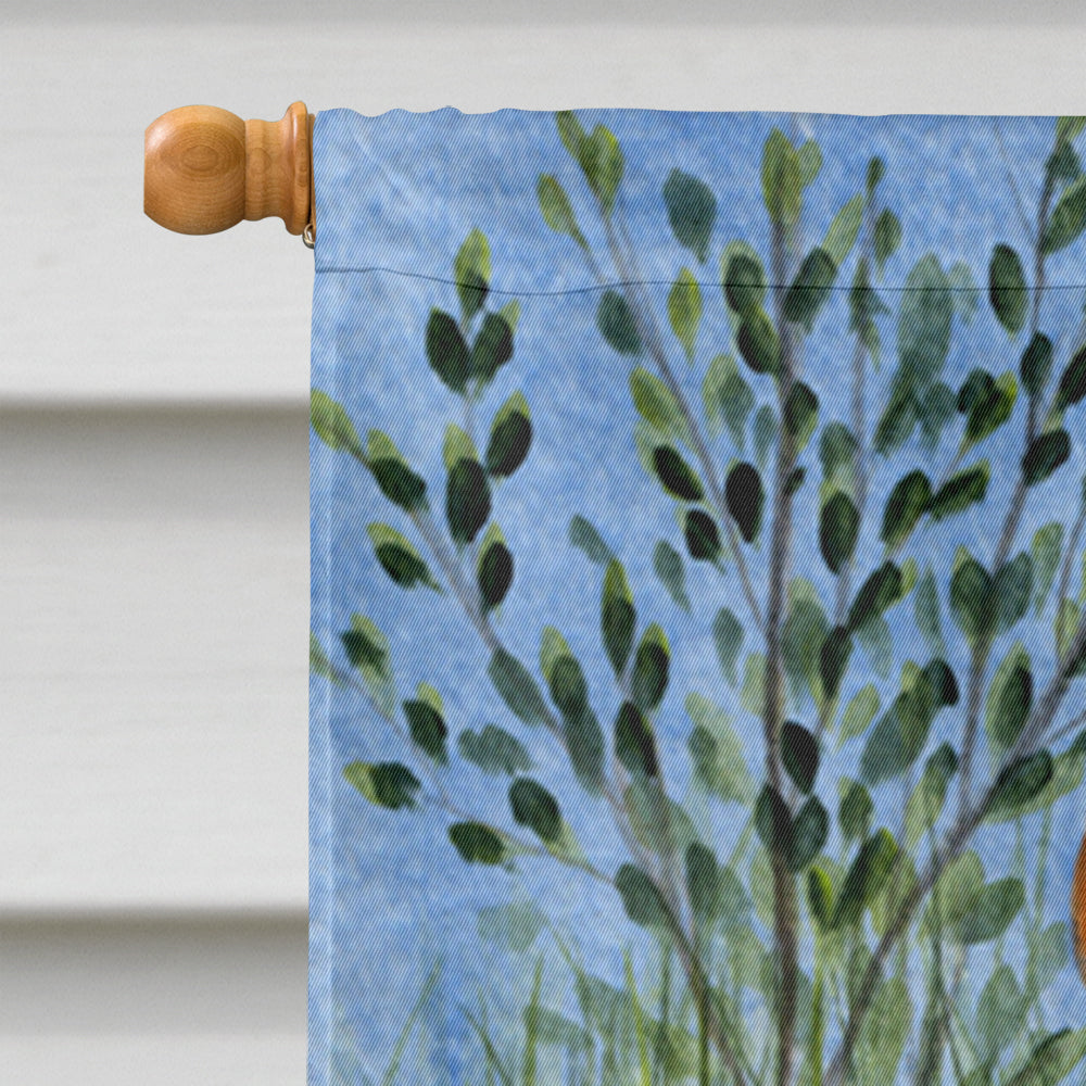 Basenji House Flag 28x40 Porch Sleeve Pole Decorative Outside Yard Banner Artwork Wall Hanging, Polyester