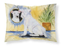 Bull Terrier Standard Pillowcase Lightweight Super Soft Easy Care Decorative Artwork Pillowcase, Standard