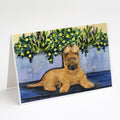 Briard Greeting Cards Pack of 8 Blank Cards with Envelopes Whimsical A7 Size 5x7