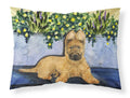 Briard Standard Pillowcase Lightweight Super Soft Easy Care Decorative Artwork Pillowcase, Standard