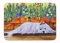 Maltese Memory Foam Kitchen Mat Machine Washable Anti-Fatigue Cushion Comfort Bath or Kitchen Rug