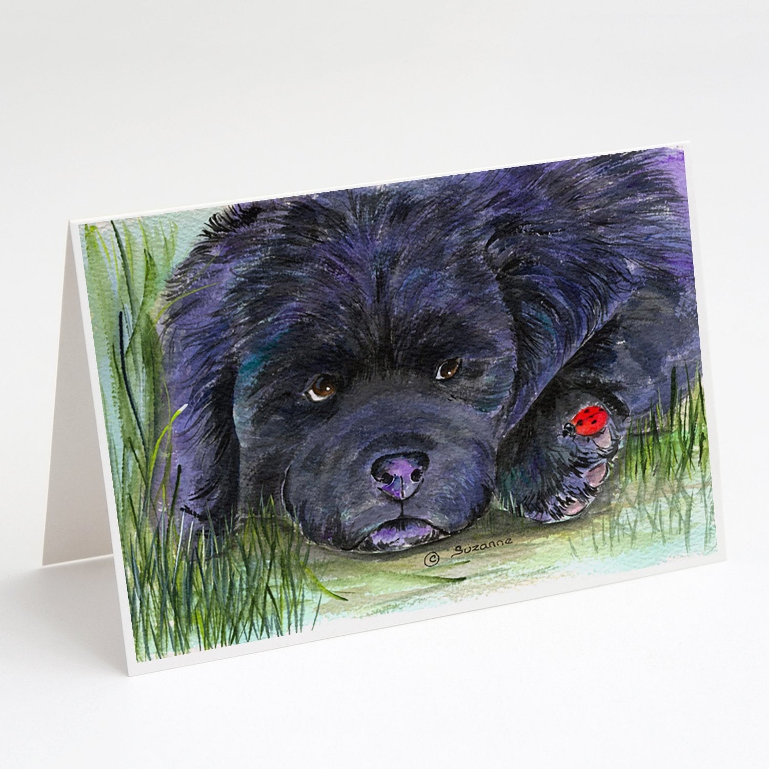 Newfoundland Greeting Cards Pack of 8 Blank Cards with Envelopes Whimsical A7 Size 5x7