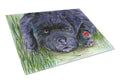 Newfoundland Cutting Board Tempered Glass Kitchen Cutting Surface, Heat Resistant Chopping, Non-Slip Feet, Food Prep & Serving