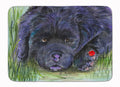 Newfoundland Memory Foam Kitchen Mat Machine Washable Anti-Fatigue Cushion Comfort Bath or Kitchen Rug