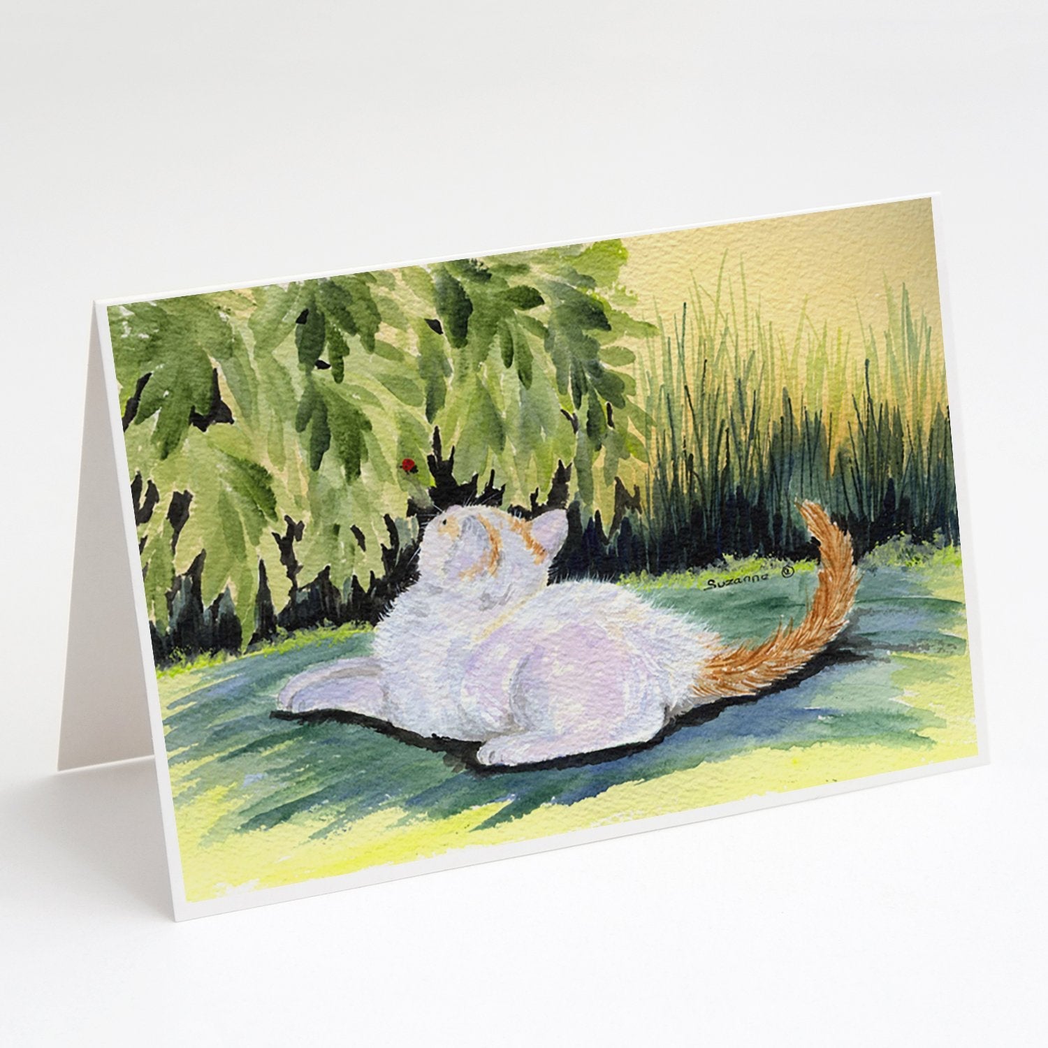 Cat Greeting Cards Pack of 8 Blank Cards with Envelopes Whimsical A7 Size 5x7