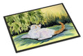 Cat Doormat Indoor Outdoor 18H X 27W Front Door Mat Rugs for Entryway, Non Slip Washable