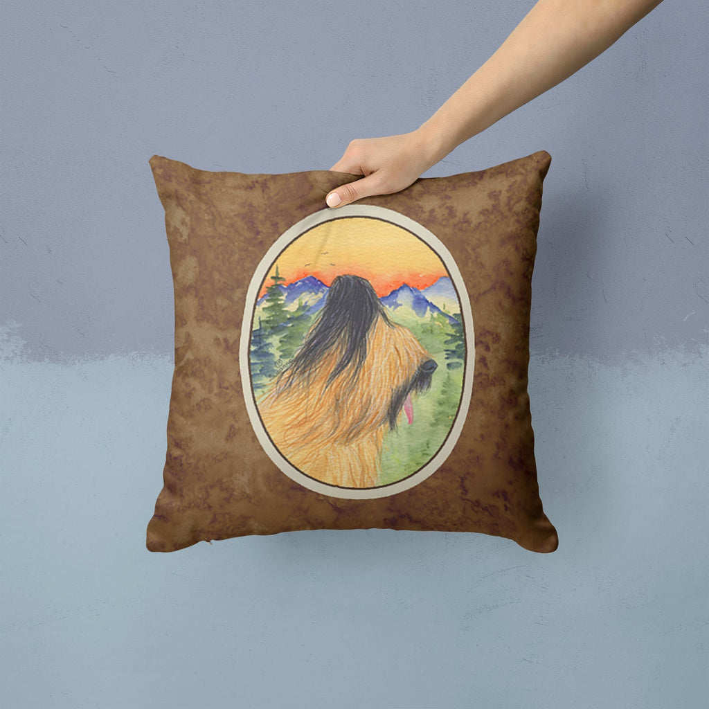 Briard Decorative Throw Pillow 14x14 Indoor Outdoor Accent Cushion, Fabric Cover with Insert for Sofa, Bed, Porch & Living Room
