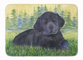 Labrador Memory Foam Kitchen Mat Machine Washable Anti-Fatigue Cushion Comfort Bath or Kitchen Rug