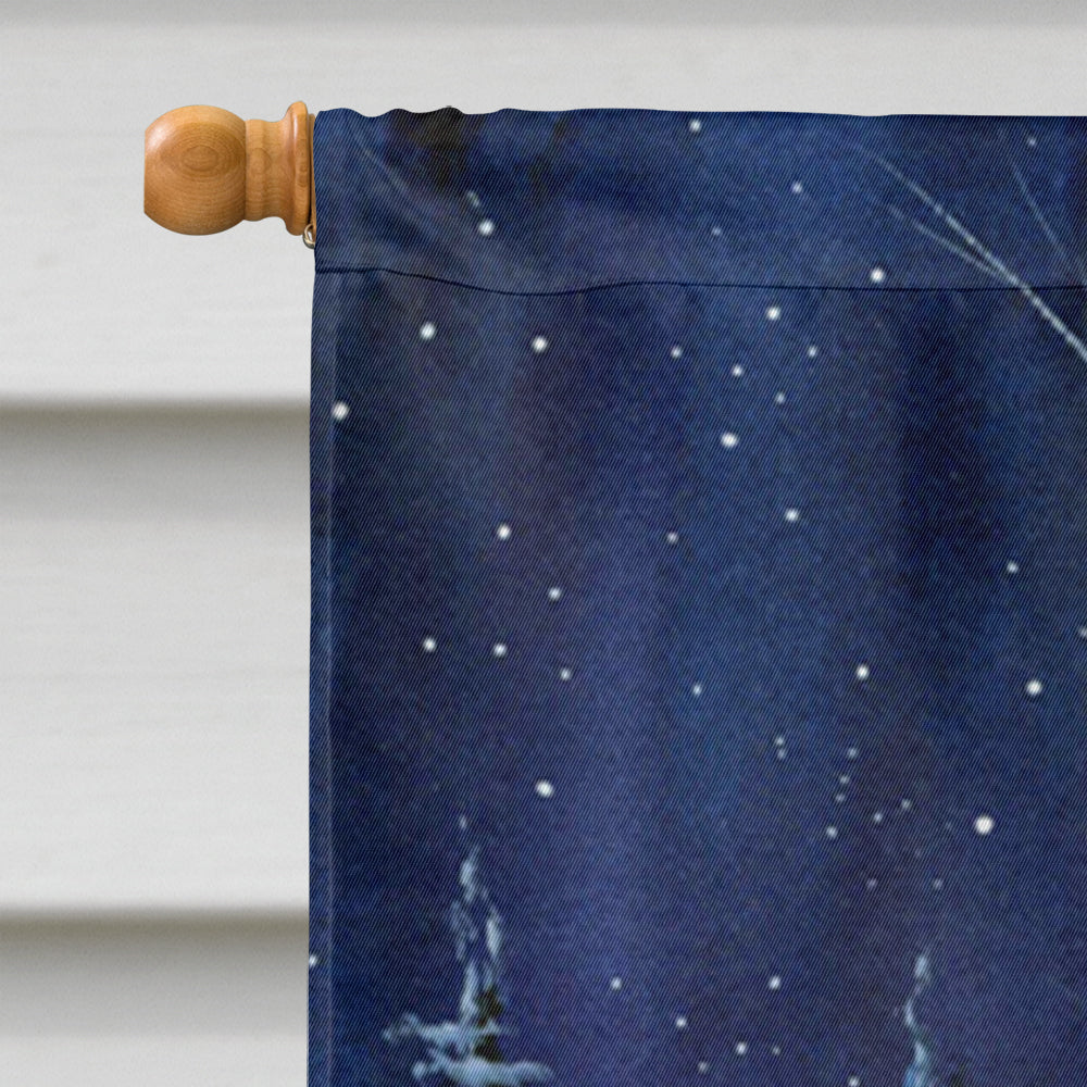 Starry Night Akita House Flag 28x40 Porch Sleeve Pole Decorative Outside Yard Banner Artwork Wall Hanging, Polyester