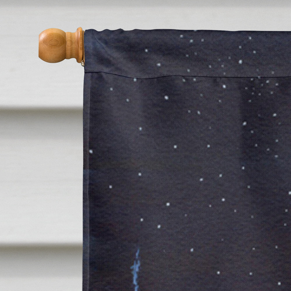Starry Night Corgi House Flag 28x40 Porch Sleeve Pole Decorative Outside Yard Banner Artwork Wall Hanging, Polyester