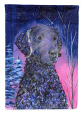 Starry Night Curly Coated Retriever House Flag 28x40 Porch Sleeve Pole Decorative Outside Yard Banner Artwork Wall Hanging, Polyester