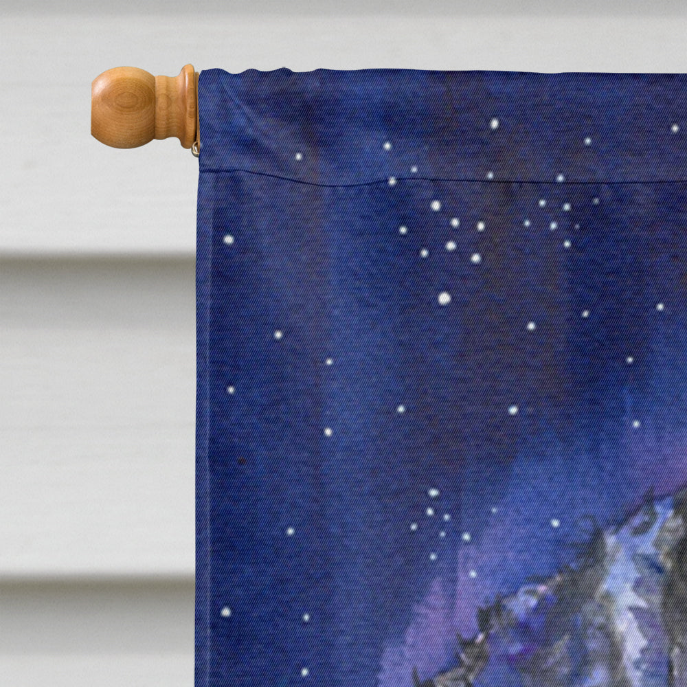 Starry Night Curly Coated Retriever House Flag 28x40 Porch Sleeve Pole Decorative Outside Yard Banner Artwork Wall Hanging, Polyester