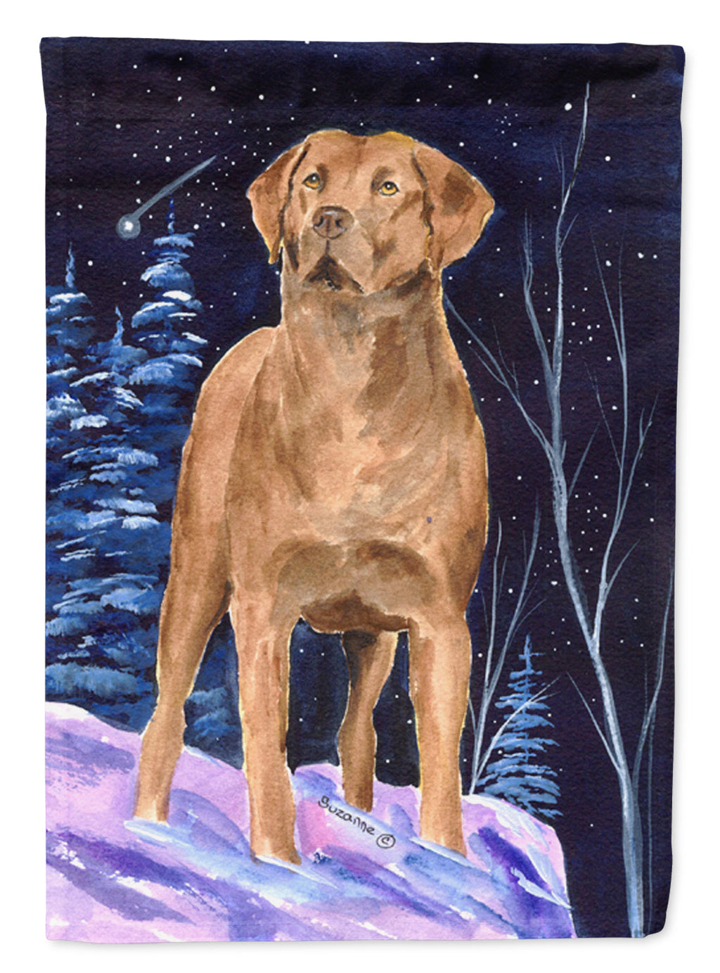 Starry Night Chesapeake Bay Retriever House Flag 28x40 Porch Sleeve Pole Decorative Outside Yard Banner Artwork Wall Hanging, Polyester