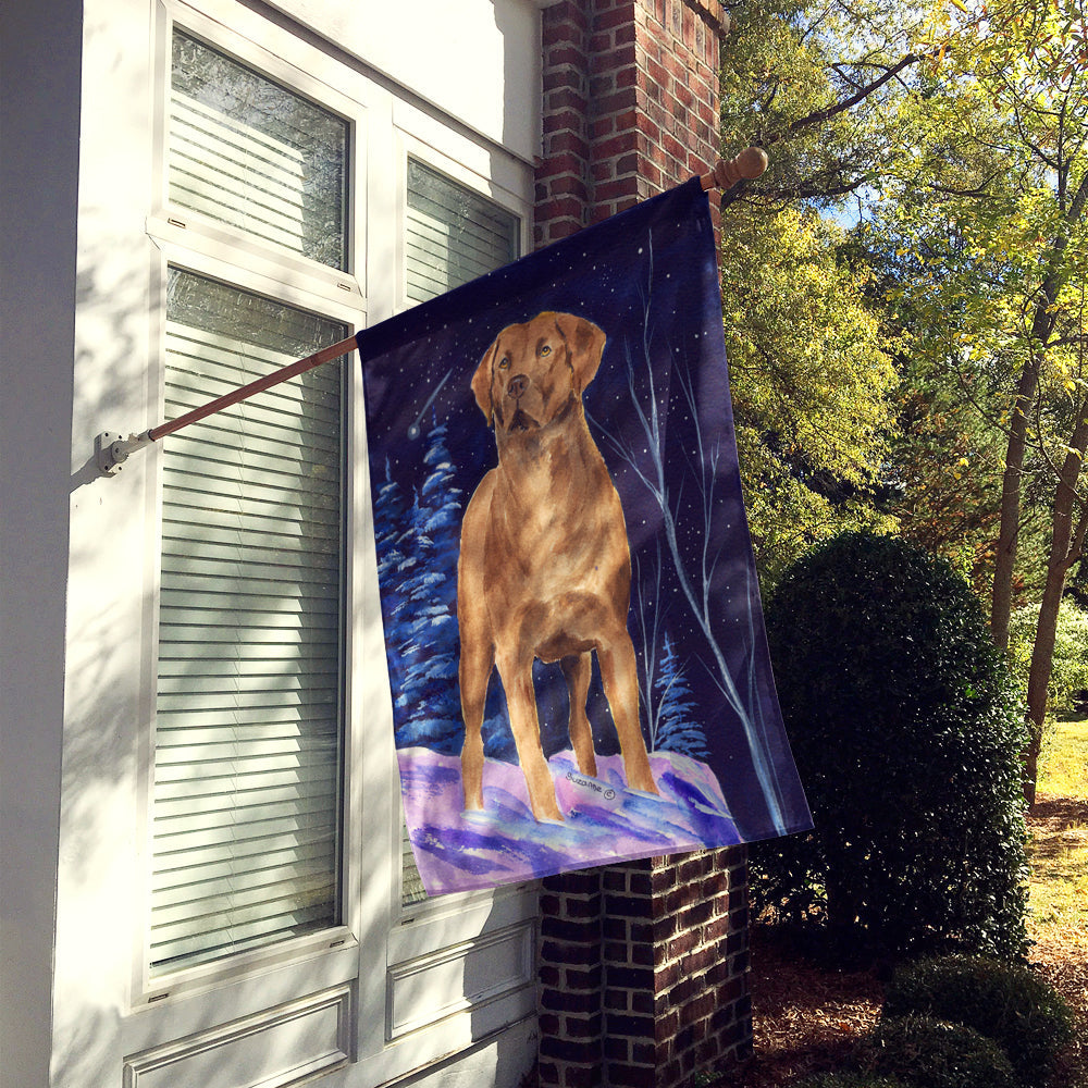 Starry Night Chesapeake Bay Retriever House Flag 28x40 Porch Sleeve Pole Decorative Outside Yard Banner Artwork Wall Hanging, Polyester