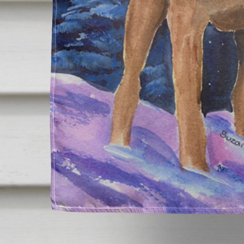 Starry Night Chesapeake Bay Retriever House Flag 28x40 Porch Sleeve Pole Decorative Outside Yard Banner Artwork Wall Hanging, Polyester