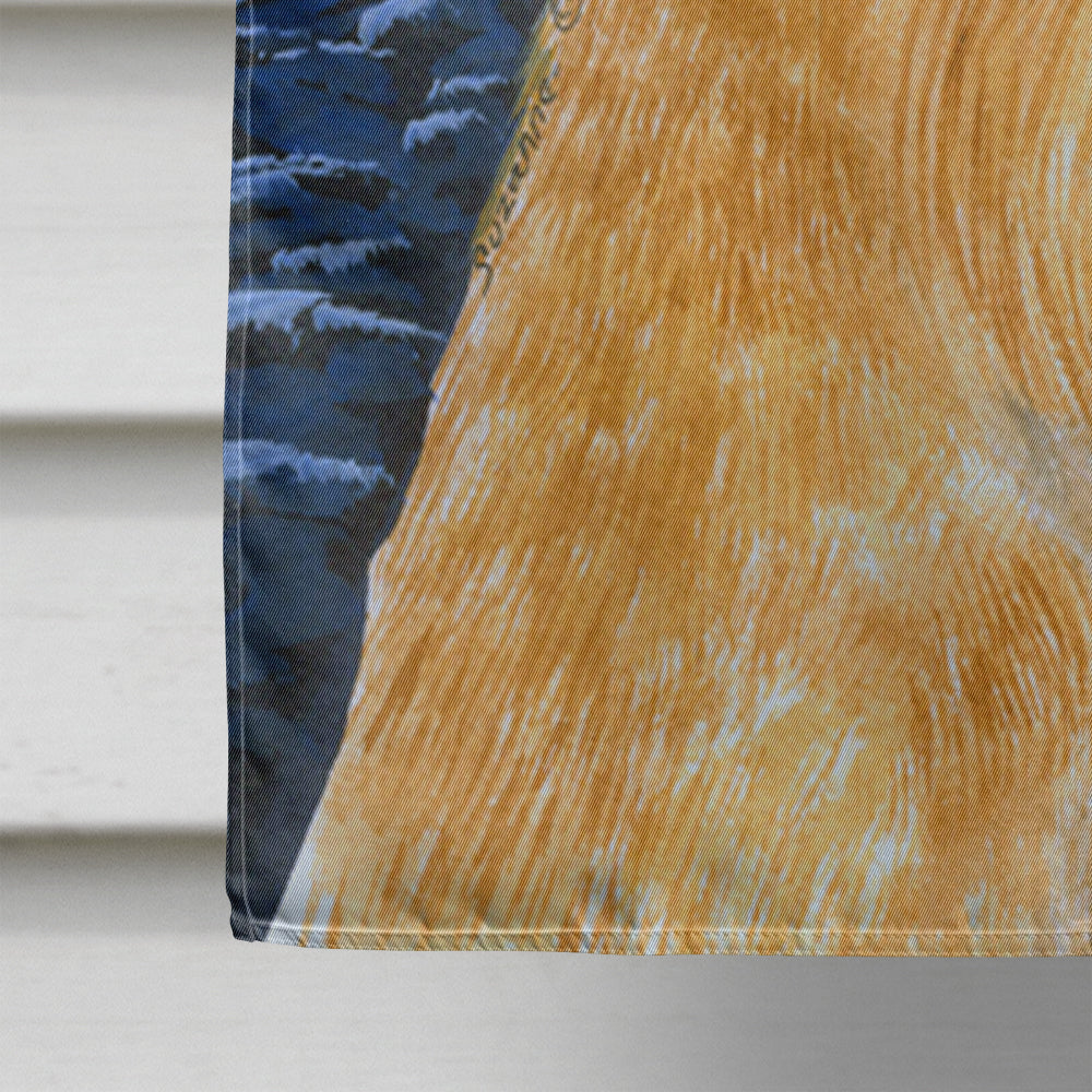 Starry Night Brussels Griffon House Flag 28x40 Porch Sleeve Pole Decorative Outside Yard Banner Artwork Wall Hanging, Polyester
