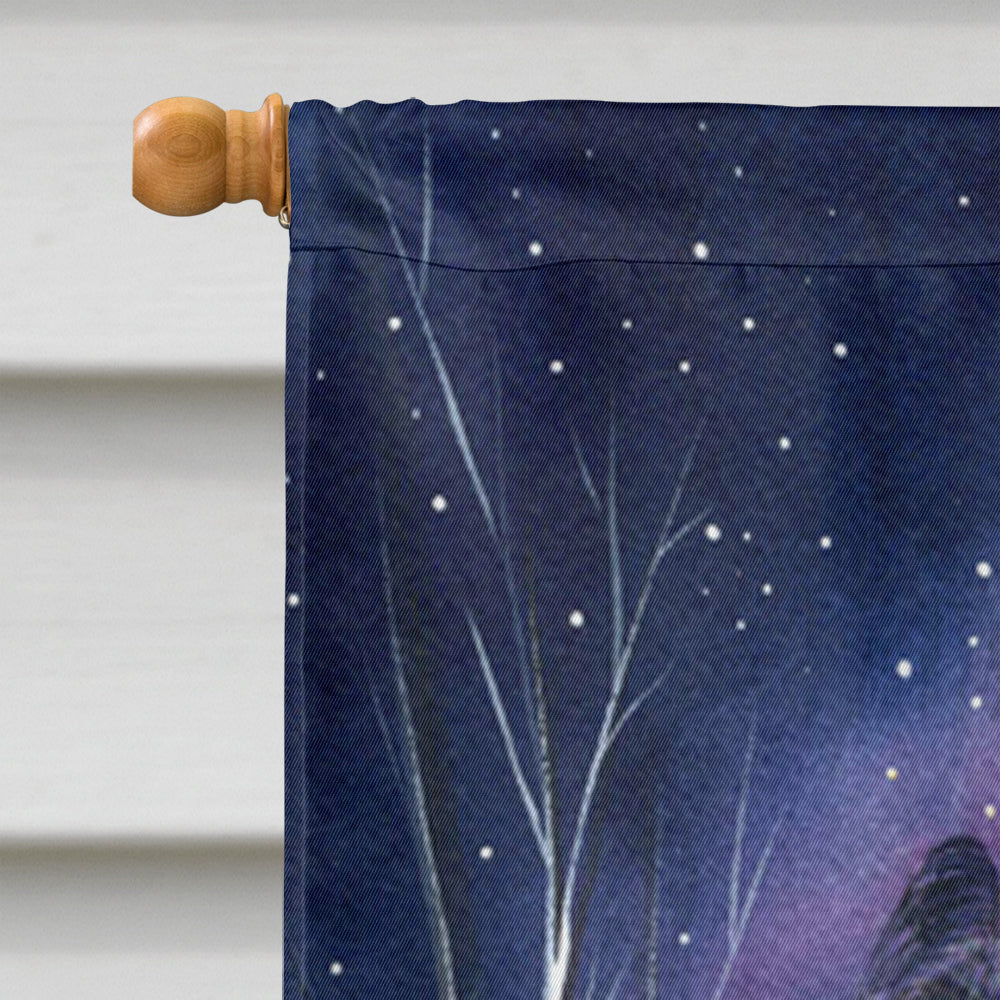 Starry Night Briard House Flag 28x40 Porch Sleeve Pole Decorative Outside Yard Banner Artwork Wall Hanging, Polyester