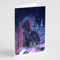 Starry Night Briard Greeting Cards Pack of 8 Blank Cards with Envelopes Whimsical A7 Size 5x7