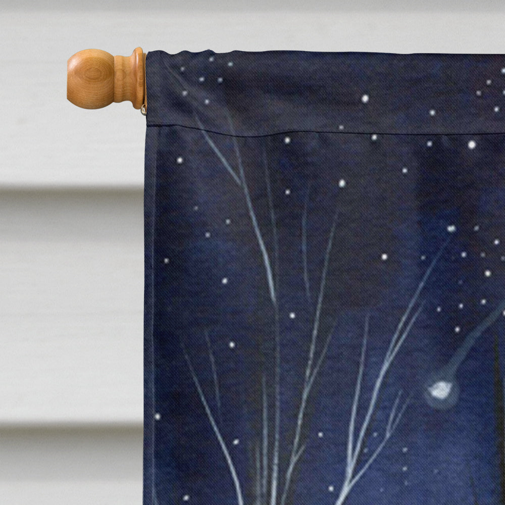 Starry Night Border Collie House Flag 28x40 Porch Sleeve Pole Decorative Outside Yard Banner Artwork Wall Hanging, Polyester