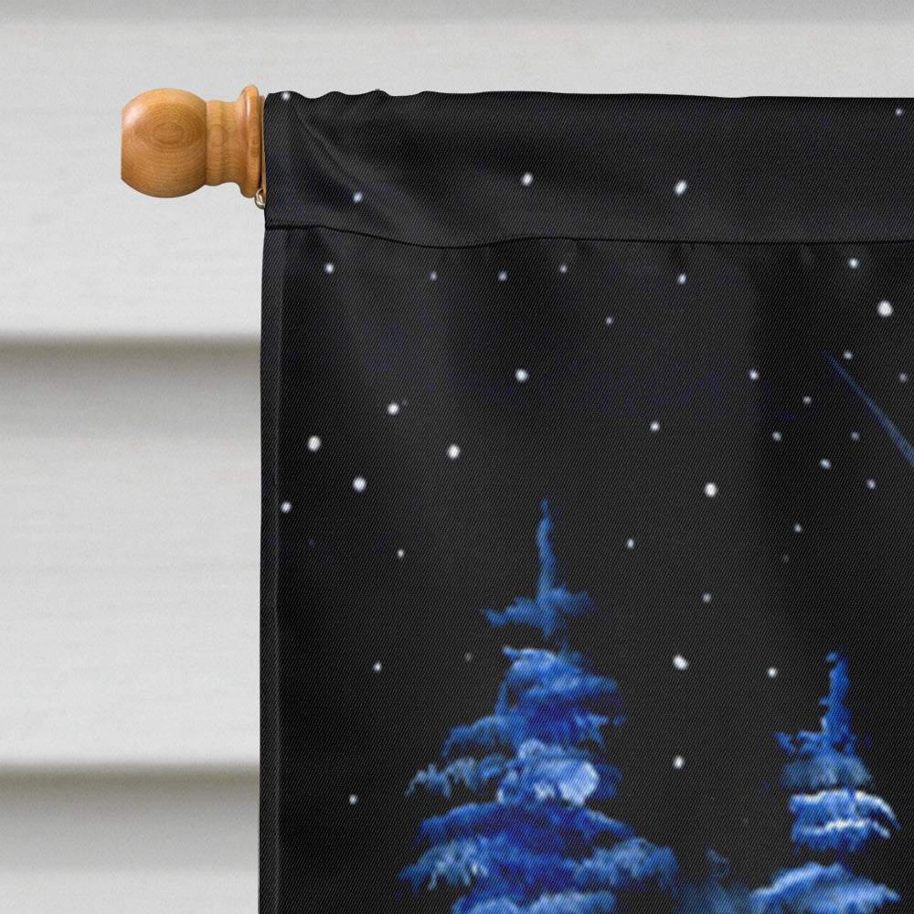 Starry Night Dachshund House Flag 28x40 Porch Sleeve Pole Decorative Outside Yard Banner Artwork Wall Hanging, Polyester