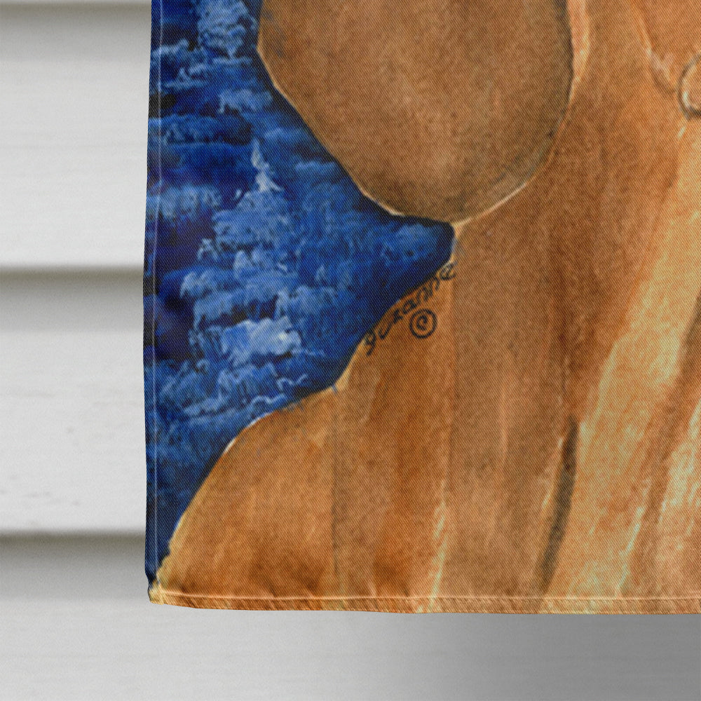 Starry Night Dachshund House Flag 28x40 Porch Sleeve Pole Decorative Outside Yard Banner Artwork Wall Hanging, Polyester