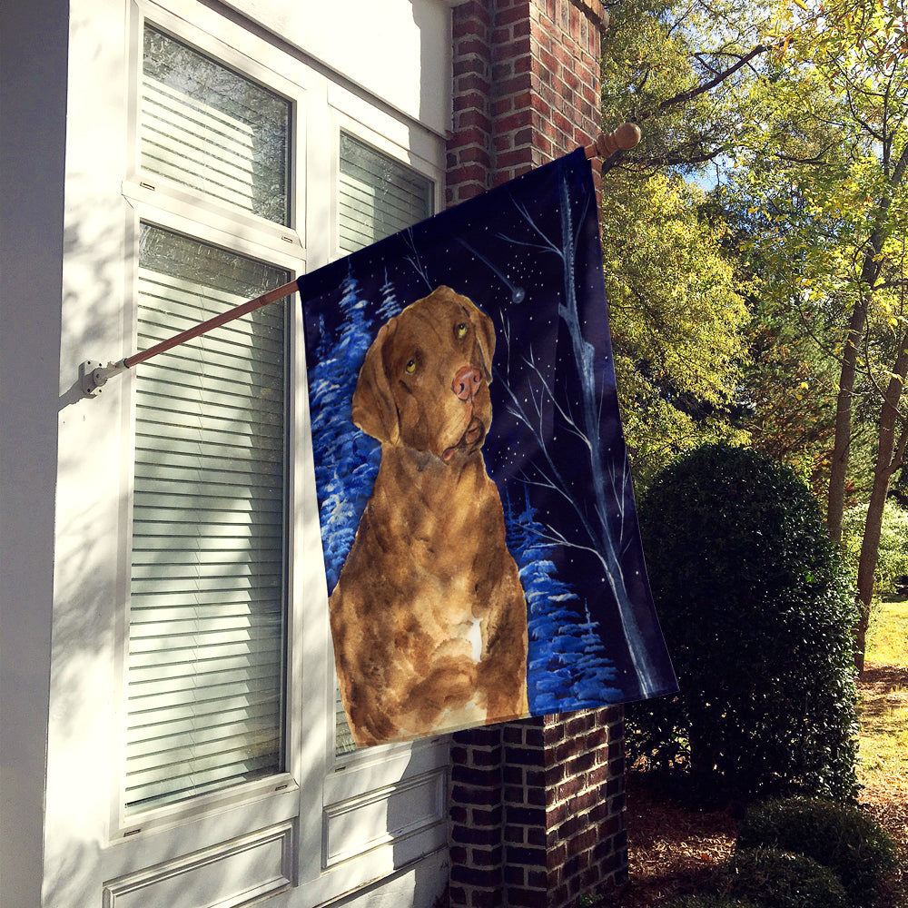 Starry Night Chesapeake Bay Retriever House Flag 28x40 Porch Sleeve Pole Decorative Outside Yard Banner Artwork Wall Hanging, Polyester