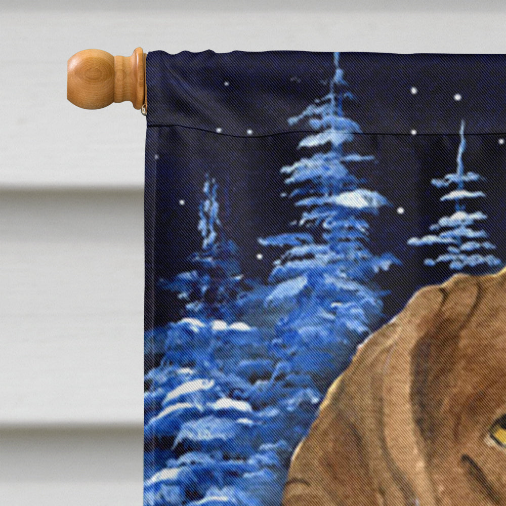 Starry Night Chesapeake Bay Retriever House Flag 28x40 Porch Sleeve Pole Decorative Outside Yard Banner Artwork Wall Hanging, Polyester