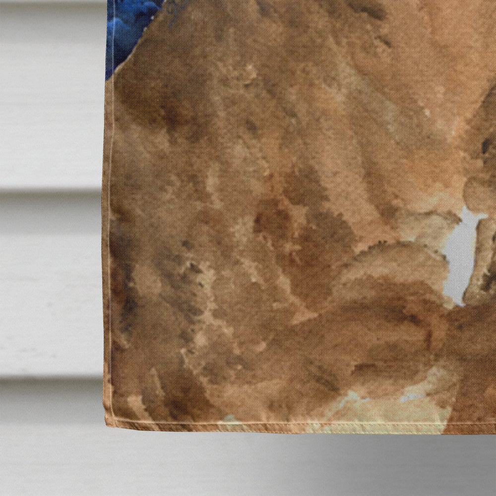 Starry Night Chesapeake Bay Retriever House Flag 28x40 Porch Sleeve Pole Decorative Outside Yard Banner Artwork Wall Hanging, Polyester